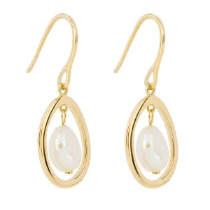 Fiorelli Gold toned drop earrings 35704