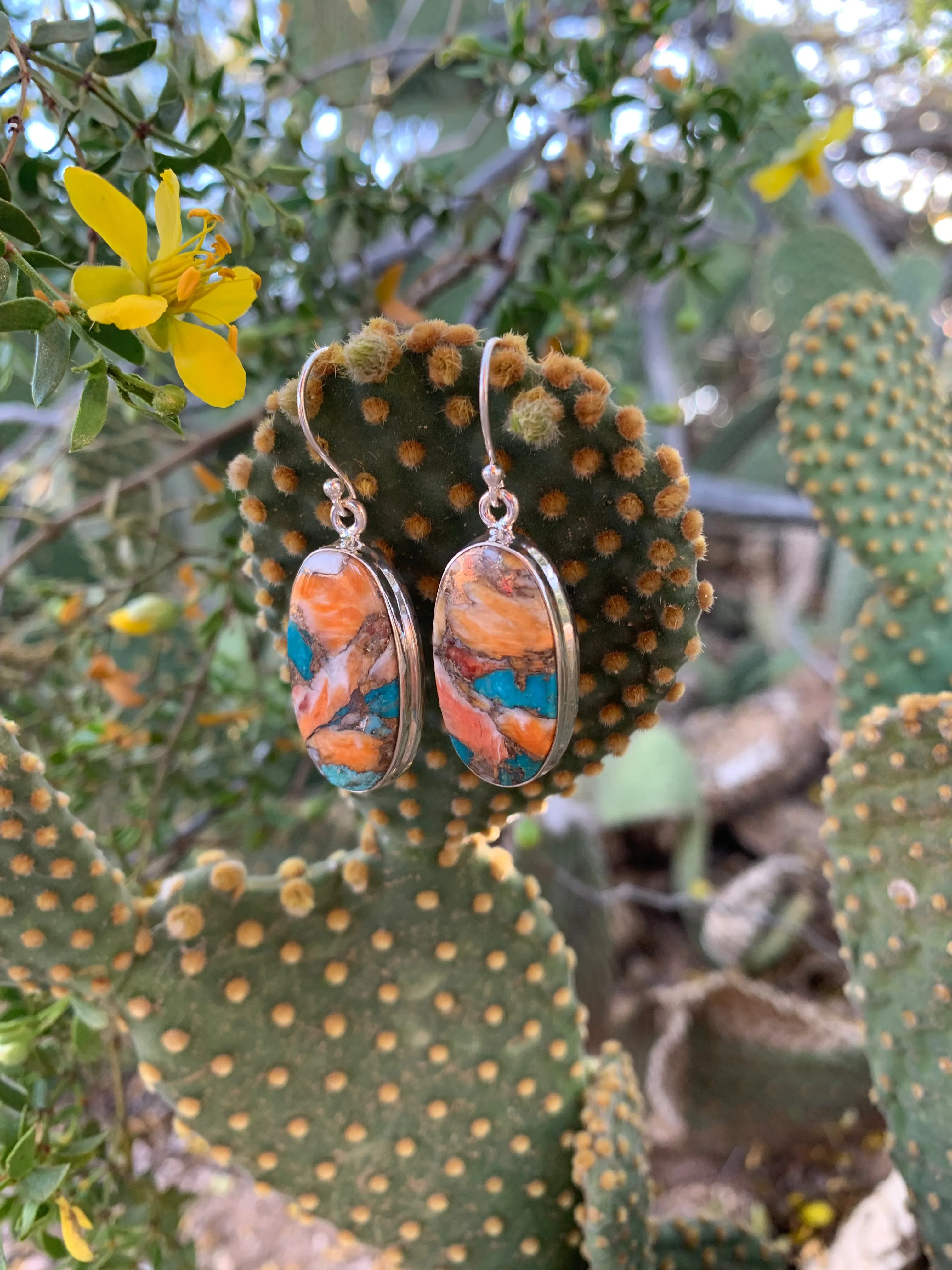 Spiny Oyster & Turquoise earrings