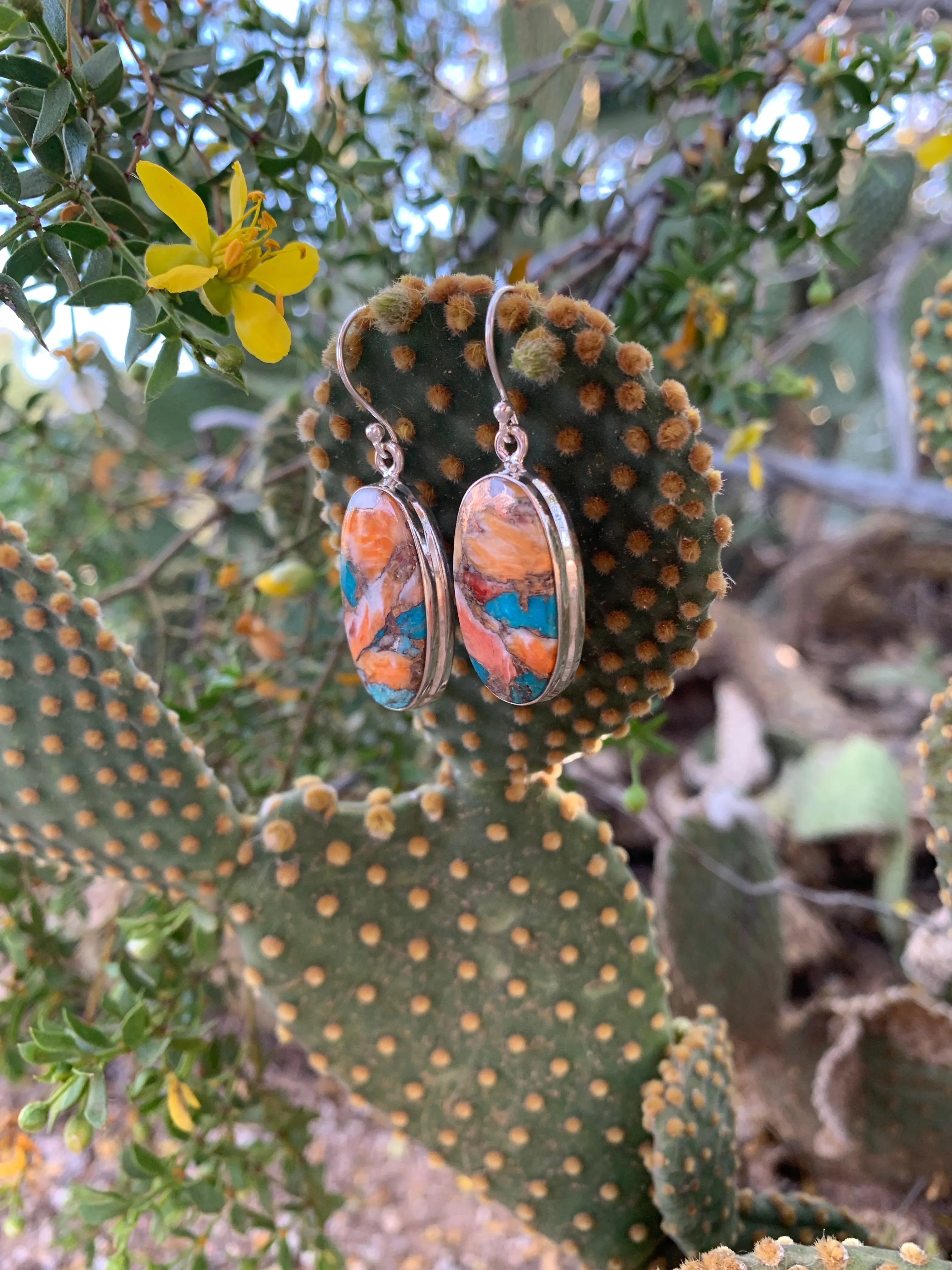 Spiny Oyster & Turquoise earrings