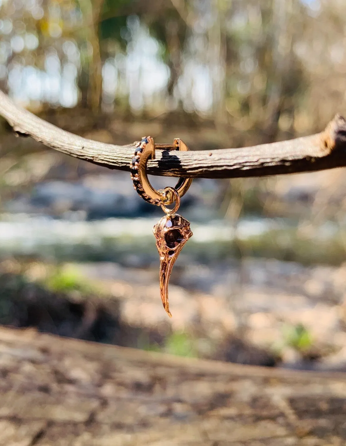 Sunbird Skull Gold Earring Charm